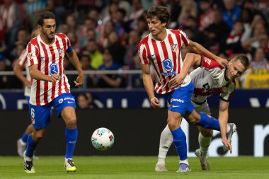 Madrid, İspanya - 24 Eylül 2025: Atletico Madrid ile Rayo Vallecano arasındaki La Liga maçı Madrid 'de oynandı. Atletico Madrid oyuncuları. EA Spor Ligi. Madrid Derbisi.