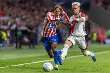 Madrid, İspanya - 24 Eylül 2025: Atletico Madrid ile Rayo Vallecano arasındaki La Liga maçı Madrid 'de oynandı. Atletico Madrid oyuncuları. EA Spor Ligi. Madrid Derbisi.