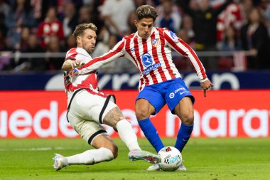 Madrid, İspanya - 24 Eylül 2025: Atletico Madrid ile Rayo Vallecano arasındaki La Liga maçı Madrid 'de oynandı. Atletico Madrid oyuncuları. EA Spor Ligi. Madrid Derbisi.