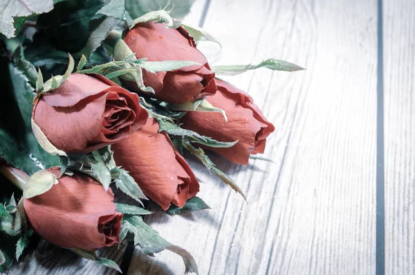 Cinco rosas rojas —  Fotos de Stock
