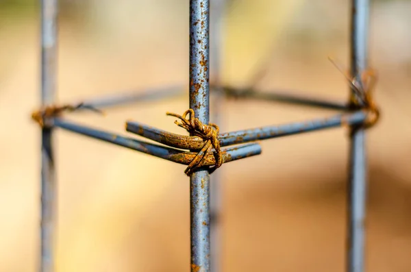 Metal Column Frame — Stock Photo, Image