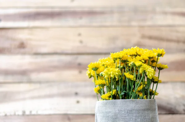 Crisântemo amarelo — Fotografia de Stock