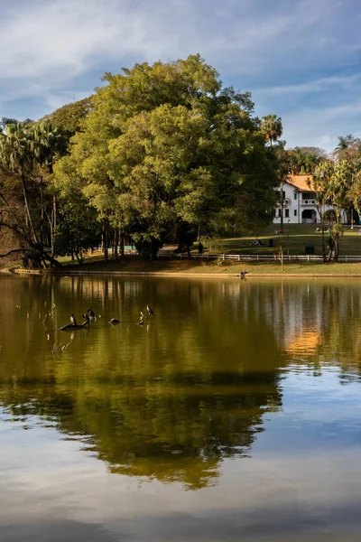 Ulusal park Horto Florestal. Sao Paulo, Brezilya. 2 Eylül 2025.