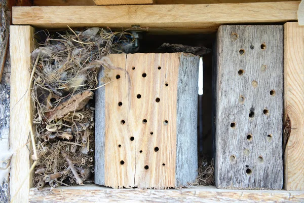 Insektenschutz Für Wildbienen Insektenhaus — Stockfoto