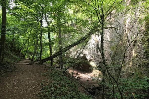 Paisagem Enquanto Caminhadas Dentro Wolfsschlucht Engl Wolf Gorge Região Eifel — Fotografia de Stock