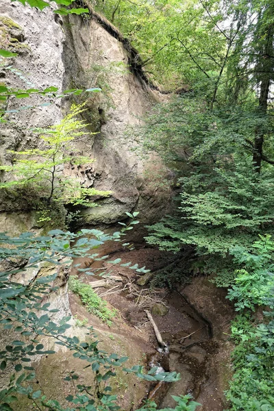 Paisagem Enquanto Caminhadas Dentro Wolfsschlucht Engl Wolf Gorge Região Eifel — Fotografia de Stock