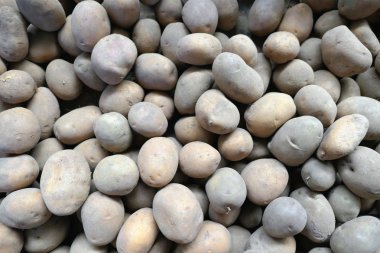 tam çerçeve arka plan patates. Hasat.