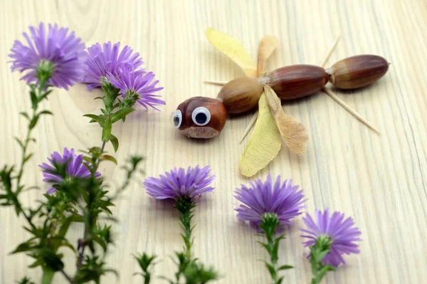 Creating Chestnut Figures Dragon Fly Autumn Time Childhood Tinker Autumn — Stock Photo, Image