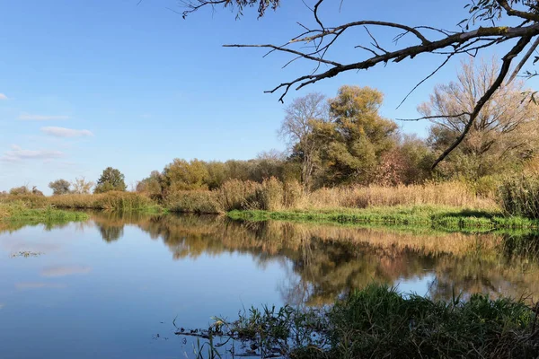 Havel Rivierlandschap Herfst Periode Water Reflectie Van Cloudscape Willow Tree — Stockfoto