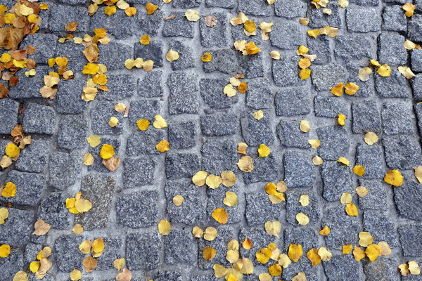 Granite pavement background with yellow leave in autumn.