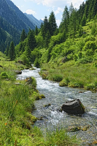 Κοιλάδα Schwarzachtal Στο Τιρόλο Της Αυστρίας Για Καλοκαίρι — Φωτογραφία Αρχείου