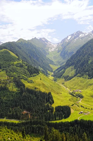 Valle Schwarzachtal Austria Tirol Verano — Foto de Stock