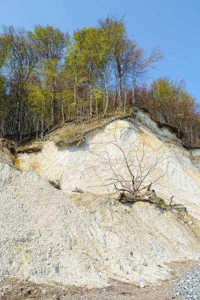 Ruegen Island White Chalk Rock Cliff Baltic Sea Coast Germany — Stock Photo, Image