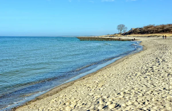 Praia da península de Darss no mar baltico na alemanha . — Fotografia de Stock