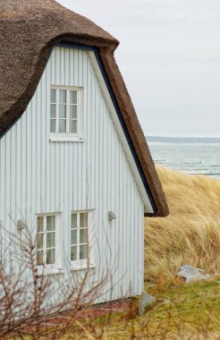 tipik kamış çatı ev darss Yarımadası (G, Baltık Denizi bölgesi