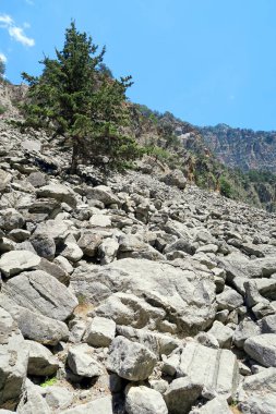 Girit (Yunanistan) yürüyüş yolu, Samiriye Gorge