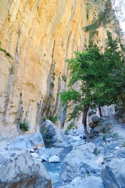 Girit (Yunanistan) yürüyüş yolu, Samiriye Gorge