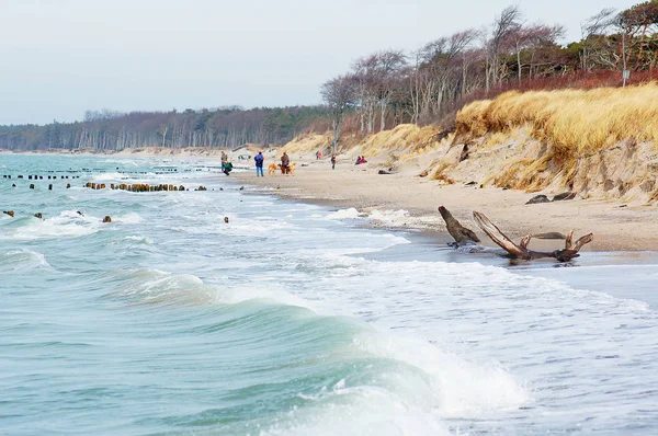 La gente que camina a lo largo de la playa del mar Báltico nombra Weststrand (engl. w — Foto de Stock