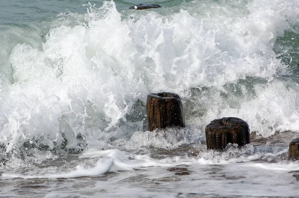 Волны, разбивающиеся о ствол дерева на пляже Балтийского моря — стоковое фото
