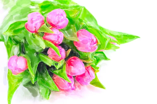 Watercolor Illustration of Bunch pink tulips in springtime — Stock Photo, Image