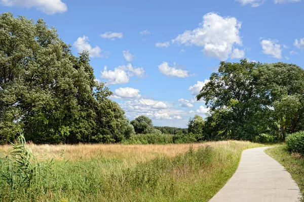 Biking path trail at Elbe river in Germany. Summer time. — Stock Photo, Image