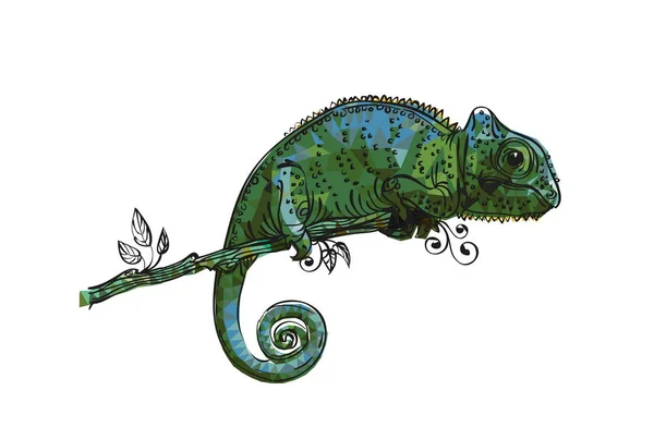 Vektorové Kreslení Chameleon Šedo Zelená — Stockový vektor