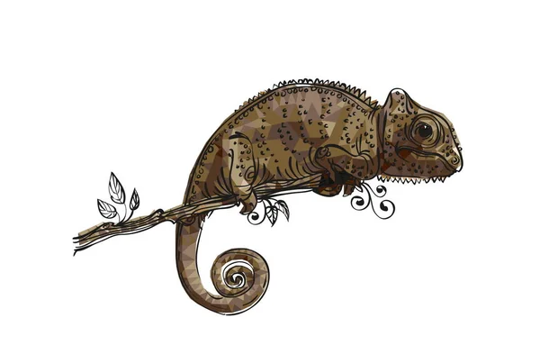 Vektorové Kreslení Chameleon Hnědá — Stockový vektor