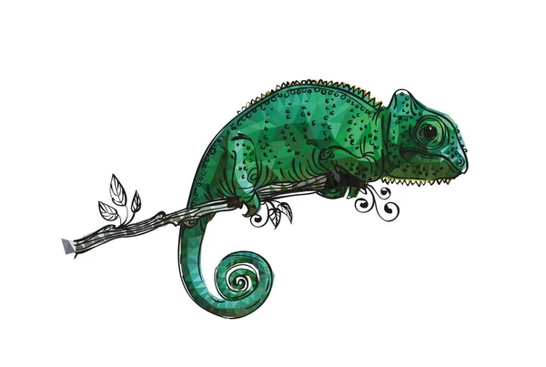 Dessin Vectoriel Caméléon Vert Vif — Image vectorielle