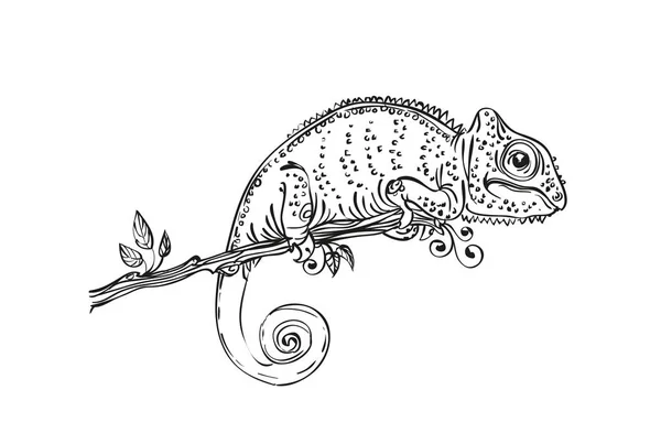 Vektorové Ilustrace Chameleon Černé Bílé — Stockový vektor