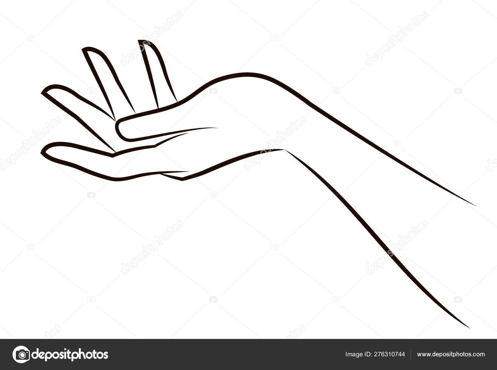 Outline Of A Beautiful Hand Stock Vector Image By C Silbervogel