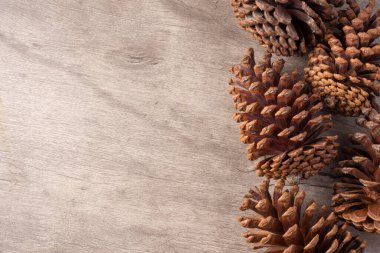 Kopya alanı olan ahşap masa üzerinde kozalak grubu