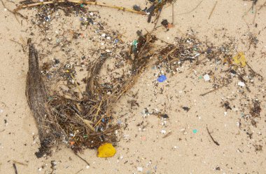 Paskalya Adası, Rapa Nui, Şili 'deki Anakena sahilinde küçük plastik parçaları ve mikro plastikler..