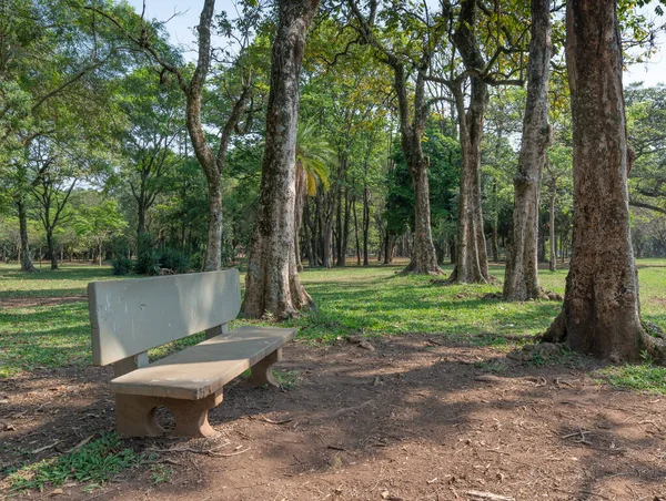 Banco Cemento Árboles Parque — Foto de Stock