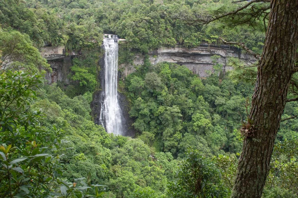 Vízesés Egy Esőerdő Közepén Brazíliában — Stock Fotó
