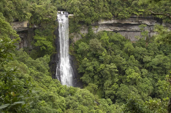 Vízesés Santa Catarina Brazília — Stock Fotó