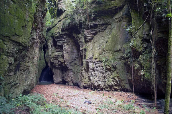 Canyon Santa Catarina Brésil — Photo