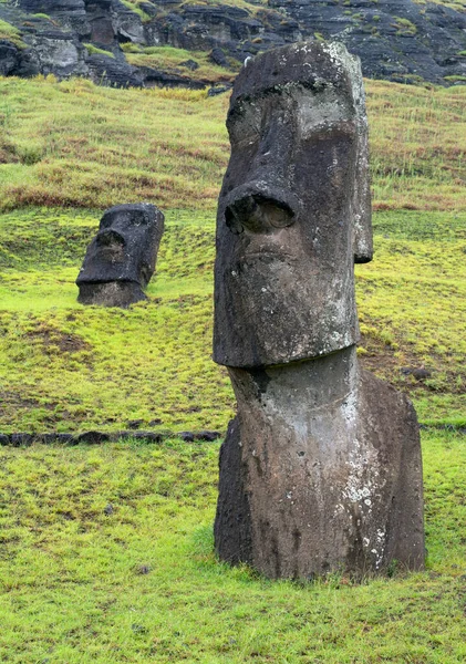 Moais Ranu Raraku Wyspa Wielkanocna Rapa Nui — Zdjęcie stockowe