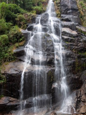 Yağmur ormanlarından akan şelale ve nehir.