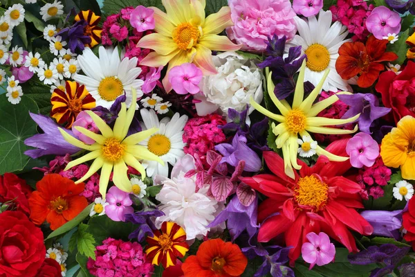 Textura Flores Diferentes Vista Superior Floral Brilhante Pano Fundo — Fotografia de Stock