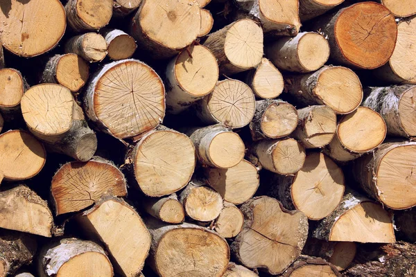 Background Firewood Stacked Woodpile Pile Logs — Stock Photo, Image