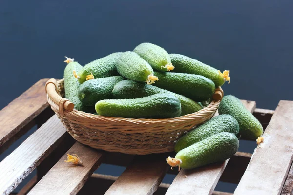 Naturaleza Muerta Rústica Cesta Pepinos Frescos Alimentación Cultivo Huerta — Foto de Stock