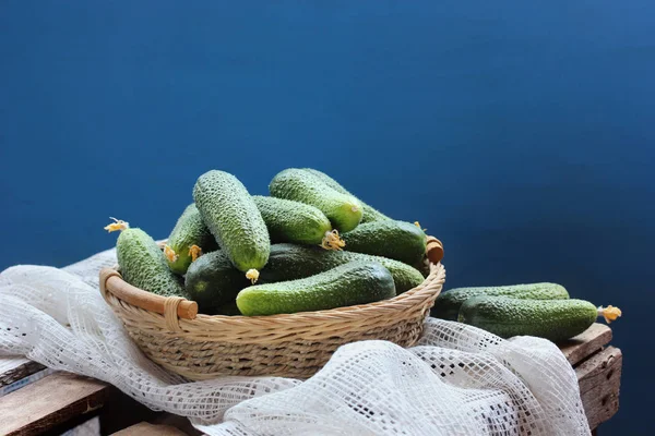 Cesta Pepinos Frescos Fundo Azul Rural Ainda Vida Comida Colheita — Fotografia de Stock