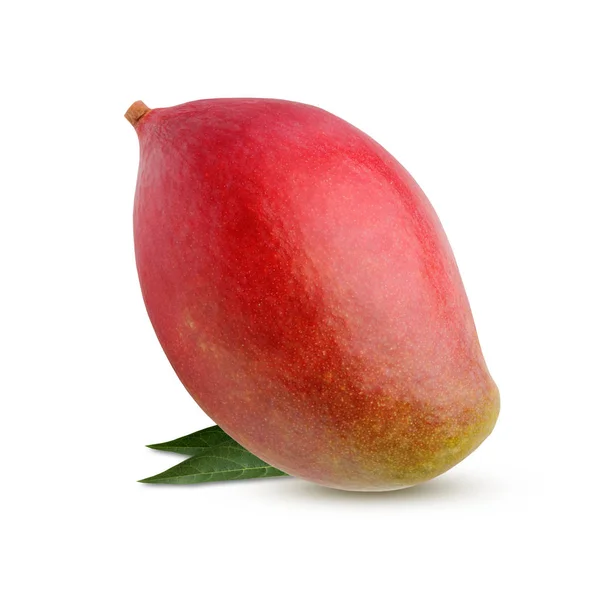 つのマンゴー果実の葉に孤立した白い背景 熟したトロピカル フルーツ — ストック写真