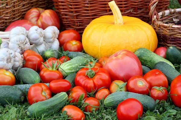 Manojo Verduras Hierba Tomate Pepino Calabaza Ajo Cosecha Del Jardín —  Fotos de Stock