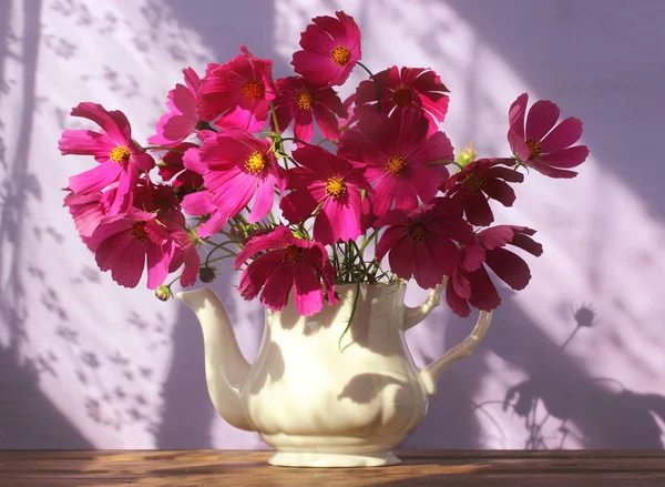 Strauß Lila Gartenblumen Einer Weißen Teekanne Sonniges Stillleben — Stockfoto