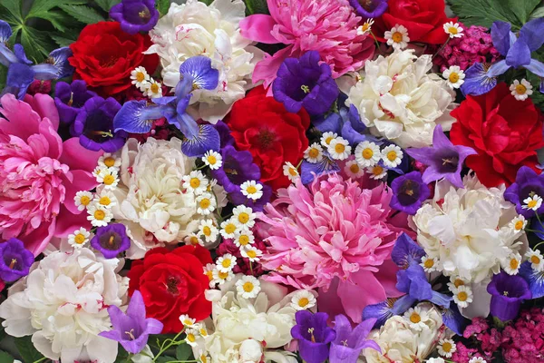 Цветочный Фон Вид Сверху Фон Различных Садовых Цветов Пионы Розы — стоковое фото