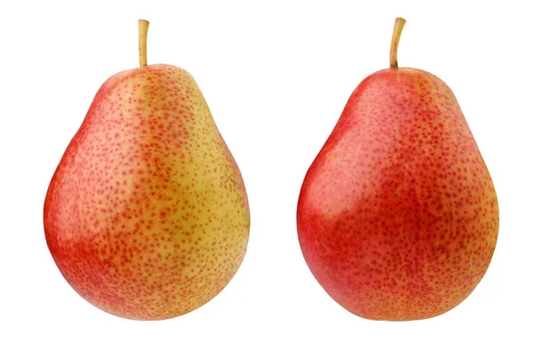 Gruszka Białym Tle Dwa Całe Owoce Czerwono Żółte Gruszki Sadzonek — Zdjęcie stockowe