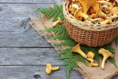 Mantar chanterelles sepet bir kaba tahta masada üstten görünüm içinde. Kopya alanı.
