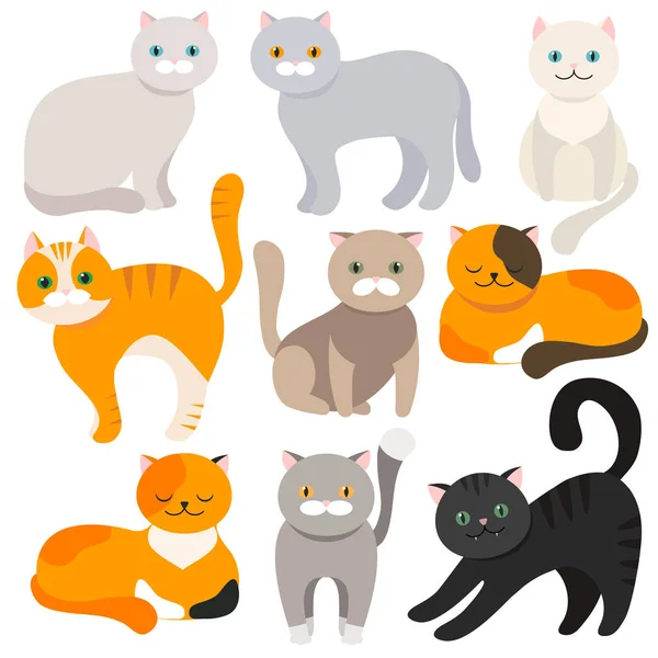 Cat Conjunto Iconos Planos Dibujos Animados Ilustración Vectorial Kitty Mascotas — Vector de stock