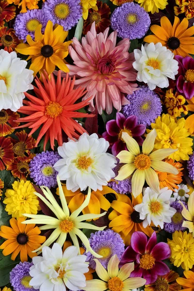 Hermoso Fondo Floral Concepto Tarjeta Felicitación Diferentes Flores Otoño Jardín — Foto de Stock